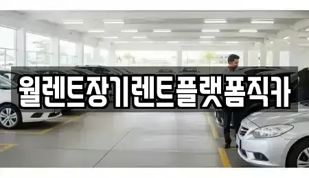 경기 용인시 수지구 죽전동 장기렌트카 전문 월렌트장기렌트플랫폼직카