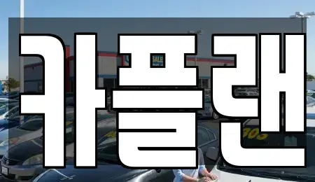 경기 용인시 수지구 죽전동 장기렌트카 전문 카플랜