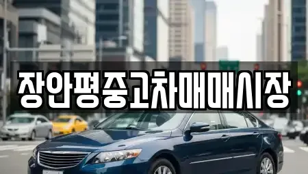 경기 용인시 수지구 죽전동 중고차매매 전문 장안평중고차매매시장