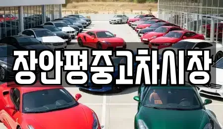 경기 용인시 수지구 죽전동 중고차매매 전문 장안평중고차시장