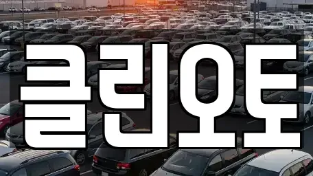 경기 용인시 수지구 죽전동 중고차매매 전문 클린오토