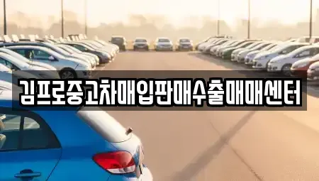 경기 용인시 수지구 죽전동 중고차매입 전문 김프로중고차매입판매수출매매센터