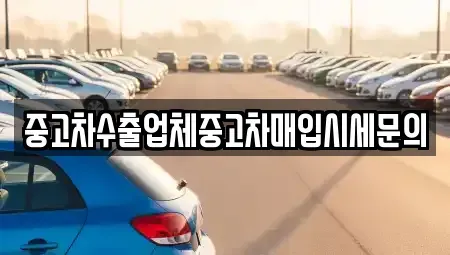 경기 용인시 수지구 죽전동 중고차매입 전문 중고차수출업체중고차매입시세문의