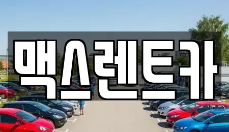 경기 용인시 처인구 마평동 렌트카 전문 맥스렌트카