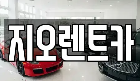 경기 용인시 처인구 마평동 렌트카 전문 지오렌트카