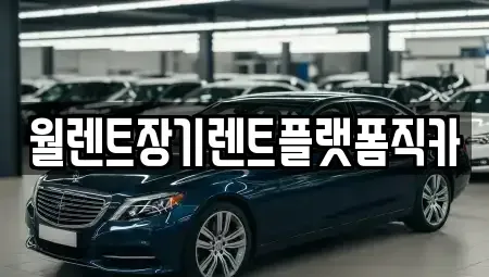 경기 용인시 처인구 마평동 장기렌트카 전문 월렌트장기렌트플랫폼직카