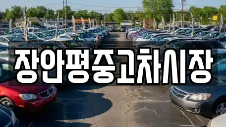 경기 용인시 처인구 마평동 중고차 전문 장안평중고차시장