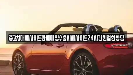 경기 용인시 처인구 마평동 중고차 전문 중고차매매사이트판매매입수출시세사이트24시간친절한상담