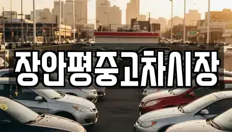 경기 용인시 처인구 마평동 중고차매매 전문 장안평중고차시장