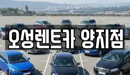 경기 용인시 처인구 양지면 렌트카 전문 오성렌트카 양지점