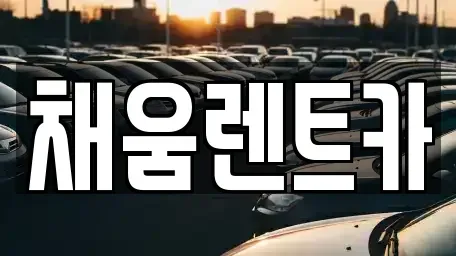 경기 용인시 처인구 양지면 렌트카 전문 채움렌트카