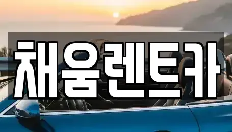 경기 용인시 처인구 양지면 렌트카 전문 채움렌트카