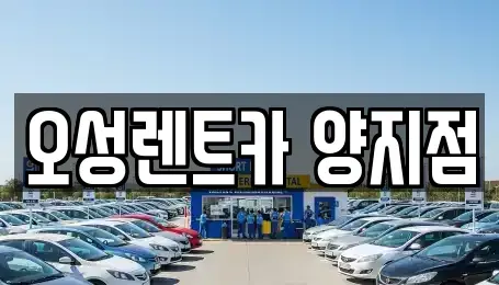 경기 용인시 처인구 양지면 장기렌트카 전문 오성렌트카 양지점