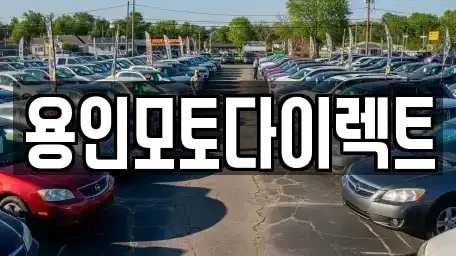 경기 용인시 처인구 양지면 장기렌트카 전문 용인모토다이렉트