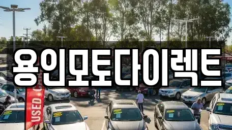 경기 용인시 처인구 양지면 장기렌트카 전문 용인모토다이렉트