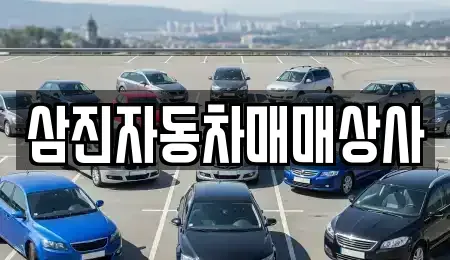 경기 용인시 처인구 양지면 중고차 전문 삼진자동차매매상사