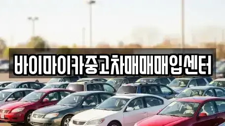 경기 용인시 처인구 양지면 중고차매매 전문 바이마이카중고차매매매입센터