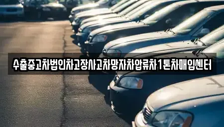 경기 용인시 처인구 양지면 중고차매입 전문 수출중고차법인차고장사고차망자차압류차1톤차매입센터