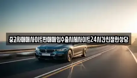 경기 용인시 처인구 양지면 중고차매입 전문 중고차매매사이트판매매입수출시세사이트24시간친절한상담