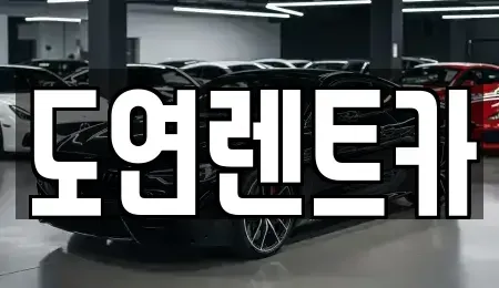 경기 의정부시 민락동 렌트카 전문 도연렌트카