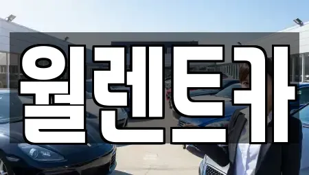 경기 의정부시 민락동 렌트카 전문 월렌트카