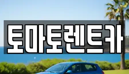 경기 의정부시 민락동 렌트카 전문 토마토렌트카