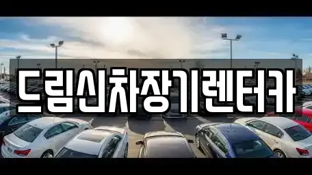 경기 의정부시 민락동 장기렌트카 전문 드림신차장기렌터카