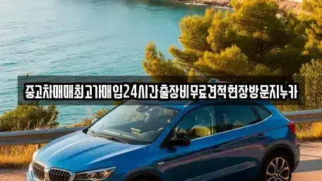 경기 파주시 진동면 중고차 전문 중고차매매최고가매입24시간출장비무료견적현장방문지누카