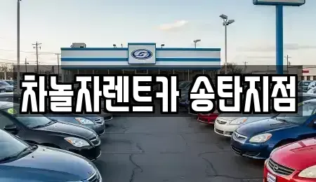 경기 평택시 고덕면 단기렌트카 전문 차놀자렌트카 송탄지점