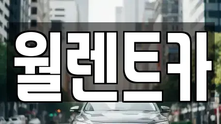 경기 평택시 고덕면 렌트카 전문 월렌트카