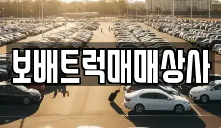 경기 평택시 고덕면 중고차 전문 보배트럭매매상사