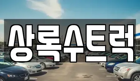경기 평택시 고덕면 중고차,렌트카,중고차매입,중고차매매,장기렌트카,단기렌트카