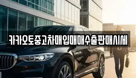 경기 평택시 고덕면 중고차 전문 카카오토중고차매입매매수출판매시세