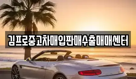 경기 평택시 고덕면 중고차매입 전문 김프로중고차매입판매수출매매센터