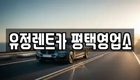 경기 평택시 군문동 렌트카 전문 유정렌트카 평택영업소