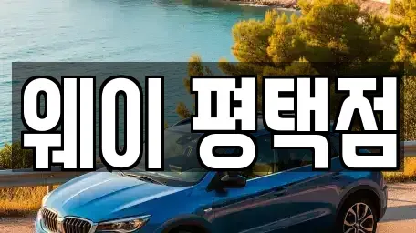 경기 평택시 군문동 장기렌트카 전문 웨이 평택점