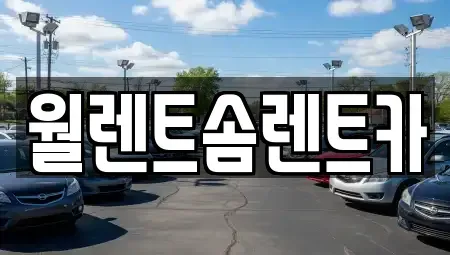 경기 평택시 세교동 렌트카 전문 월렌트솜렌트카