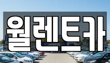 경기 평택시 세교동 렌트카 전문 월렌트카