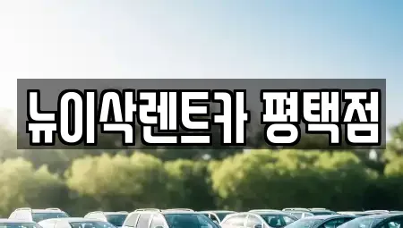 경기 평택시 세교동 장기렌트카 전문 뉴이삭렌트카 평택점