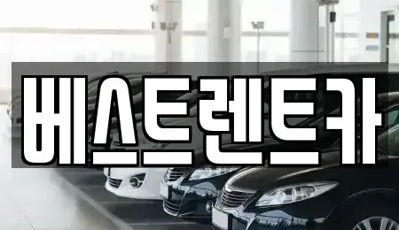 경기 평택시 세교동 장기렌트카 전문 베스트렌트카