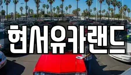 경기 평택시 세교동 중고차 전문 현서유카랜드