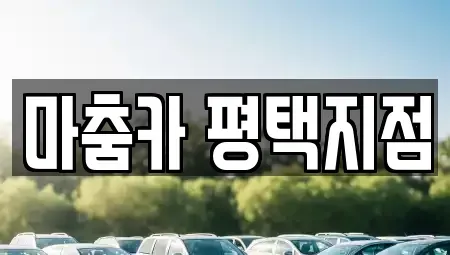 경기 평택시 지산동 렌트카 전문 마춤카 평택지점