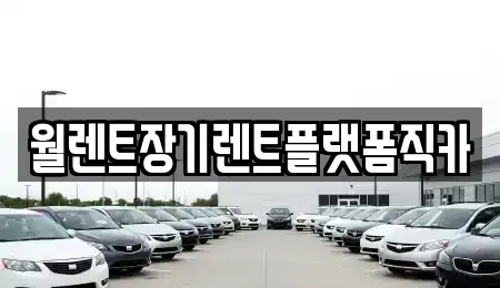 경기 평택시 지산동 렌트카 전문 월렌트장기렌트플랫폼직카