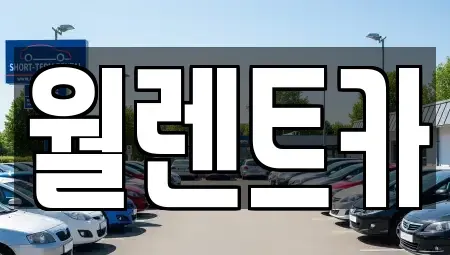 경기 평택시 지산동 렌트카 전문 월렌트카