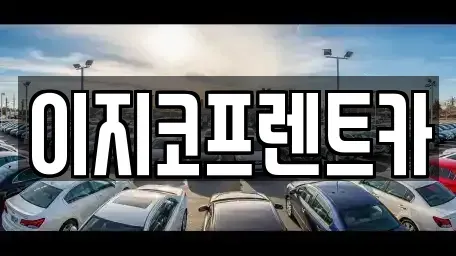 경기 평택시 지산동 렌트카 전문 이지코프렌트카