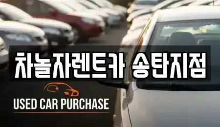 경기 평택시 지산동 장기렌트카 전문 차놀자렌트카 송탄지점