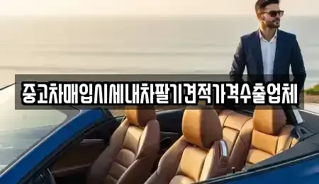 경기 평택시 지산동 중고차매입 전문 중고차매입시세내차팔기견적가격수출업체