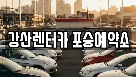 경기 평택시 포승읍 렌트카 전문 강산렌터카 포승예약소