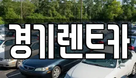 경기 평택시 포승읍 렌트카 전문 경기렌트카
