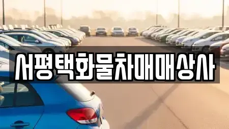 경기 평택시 포승읍 중고차매매 전문 서평택화물차매매상사
